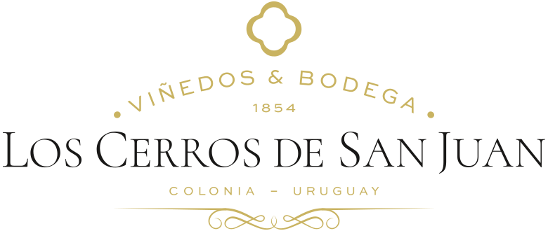 Los Cerros de San Juan
